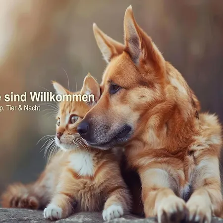 Hotel Alte Klavierfabrik 3*